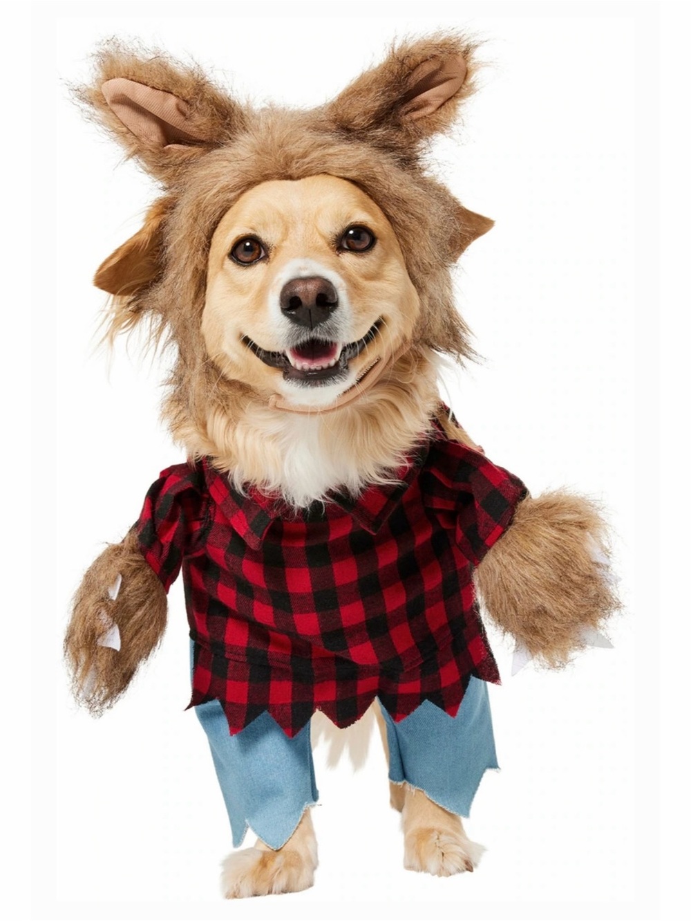 Walking Werewolf Halloween Pet Costume